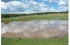 Property photo 20 - 7,320 Acres Offered in 5 Tracts